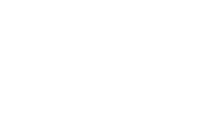 Trivellato