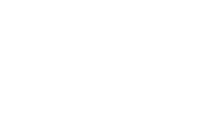 Contadi Castaldi
